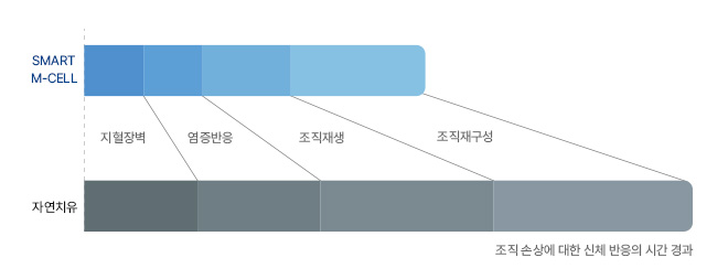 리파정형외과 리파스템 줄기세포를 통한 치유 과정 단축